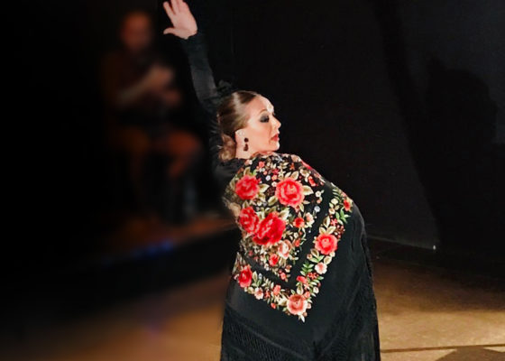 flamenco bata de cola